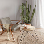 LAKESIDE NOSTALGY Coffee Table 60