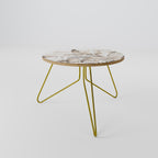 WILD TENDERNESS Coffee Table 60