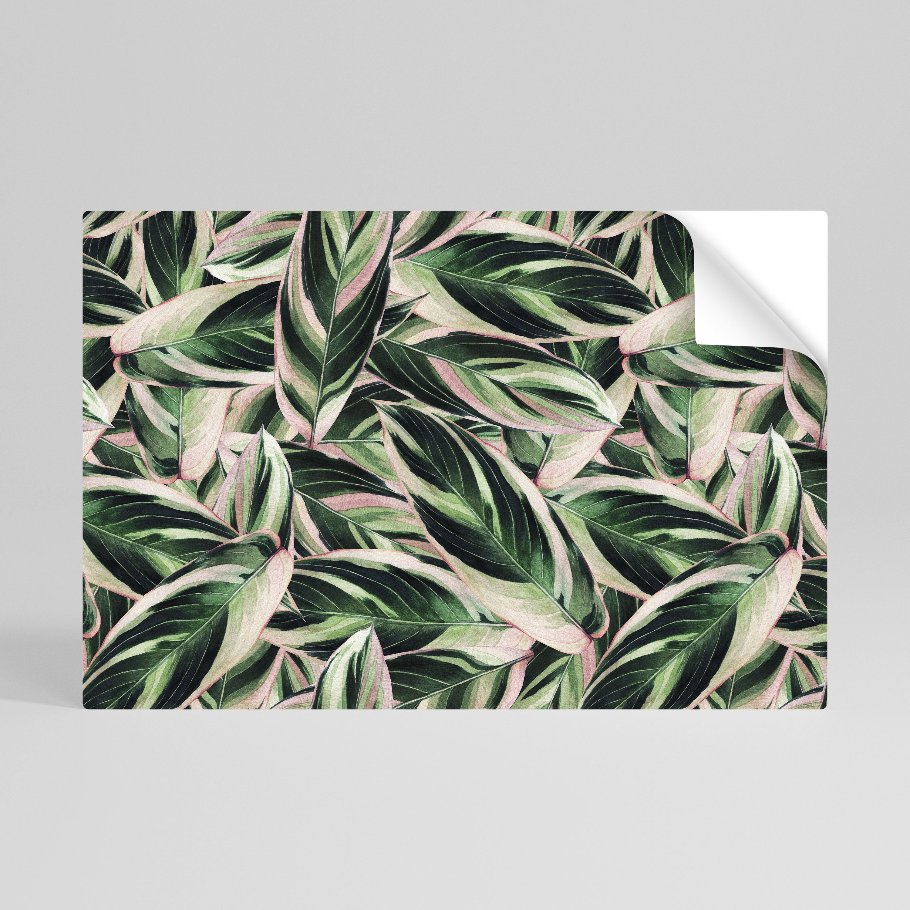 Póster horizontal autoadhesivo de EERIE STROMANTHE