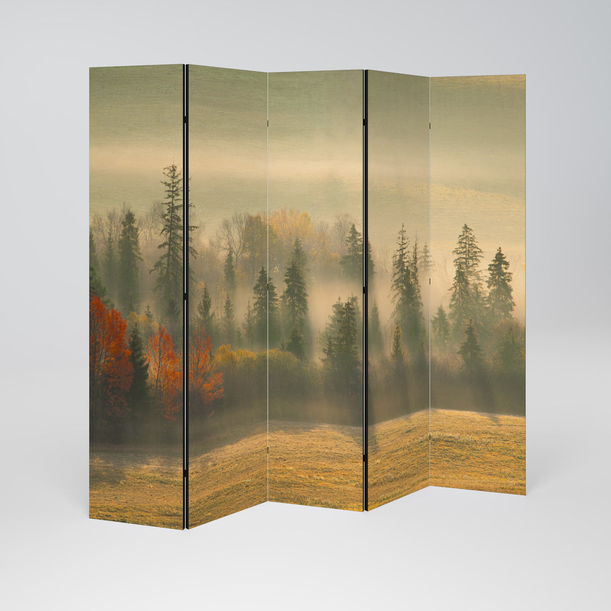 GILDING HOURS Biombo de 5 paneles