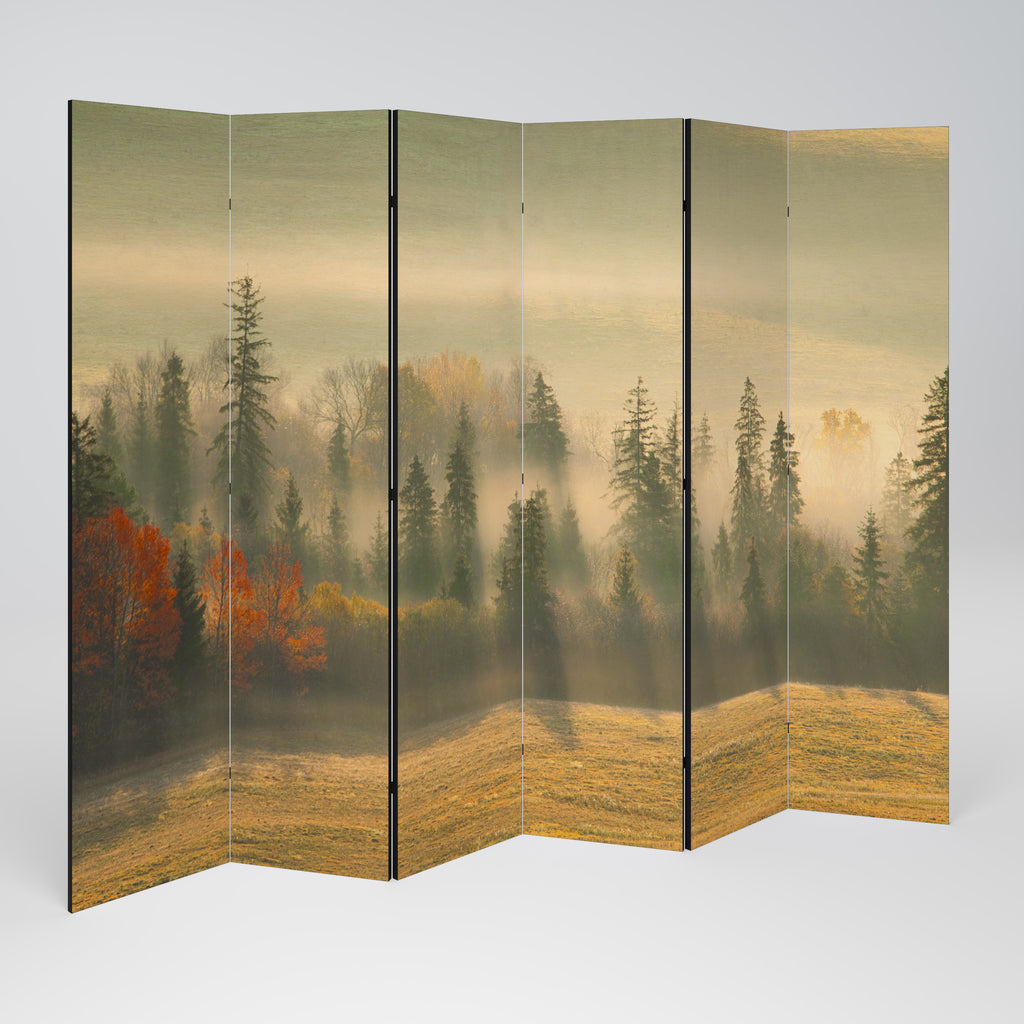 Biombo decorativo de 6 paneles GILDING HOURS