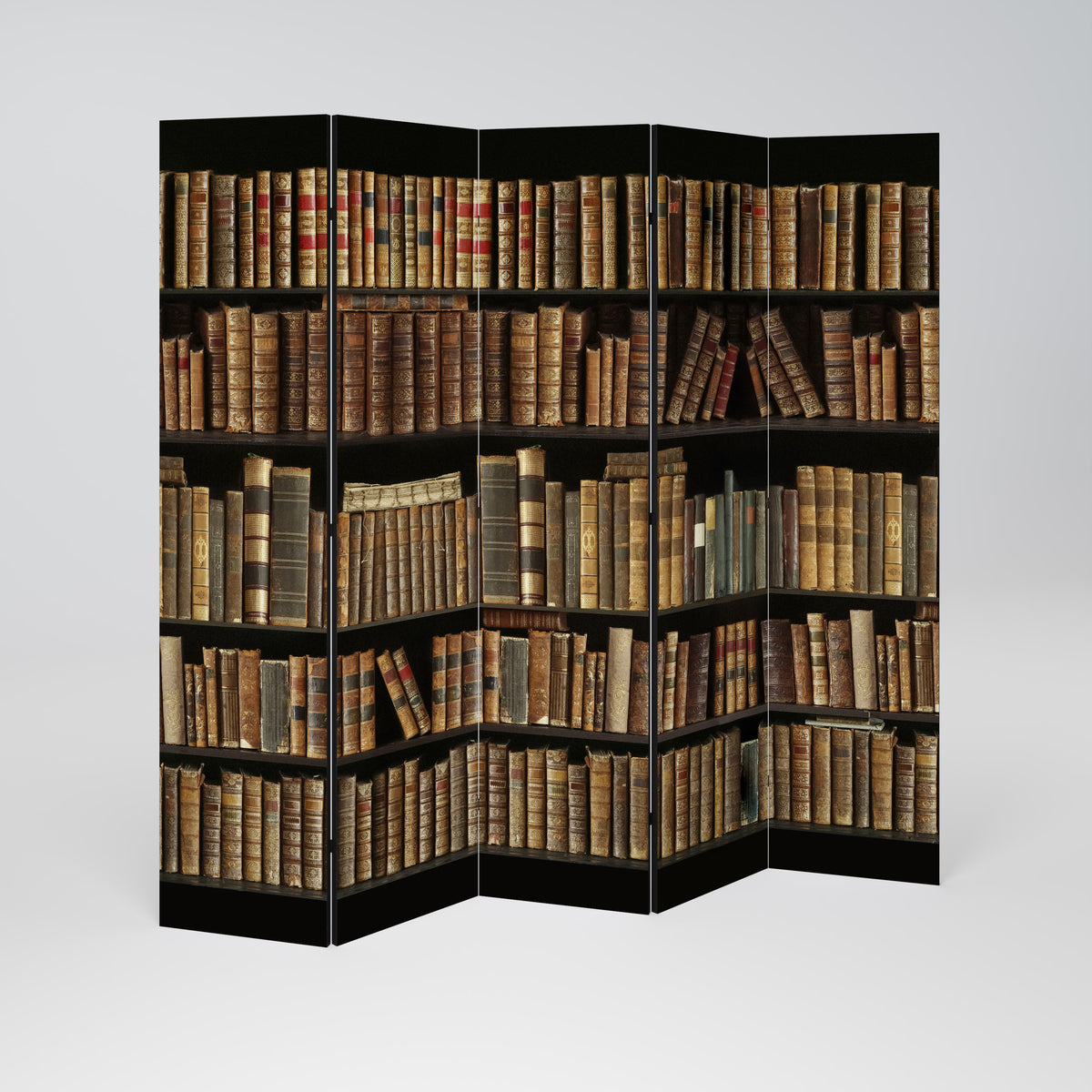 SHELVES OF TIME Biombo de 5 paneles
