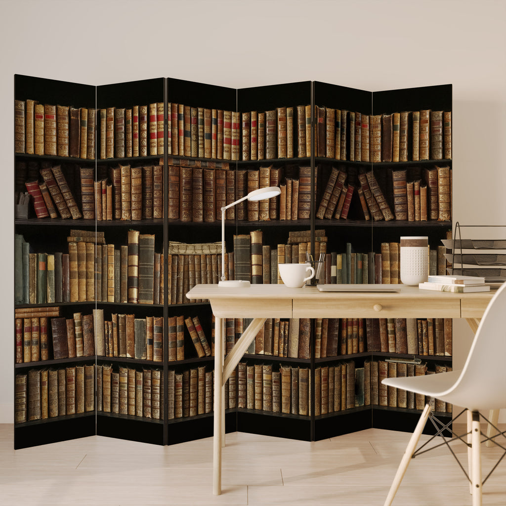 Biombo decorativo de 6 paneles SHELVES OF TIME