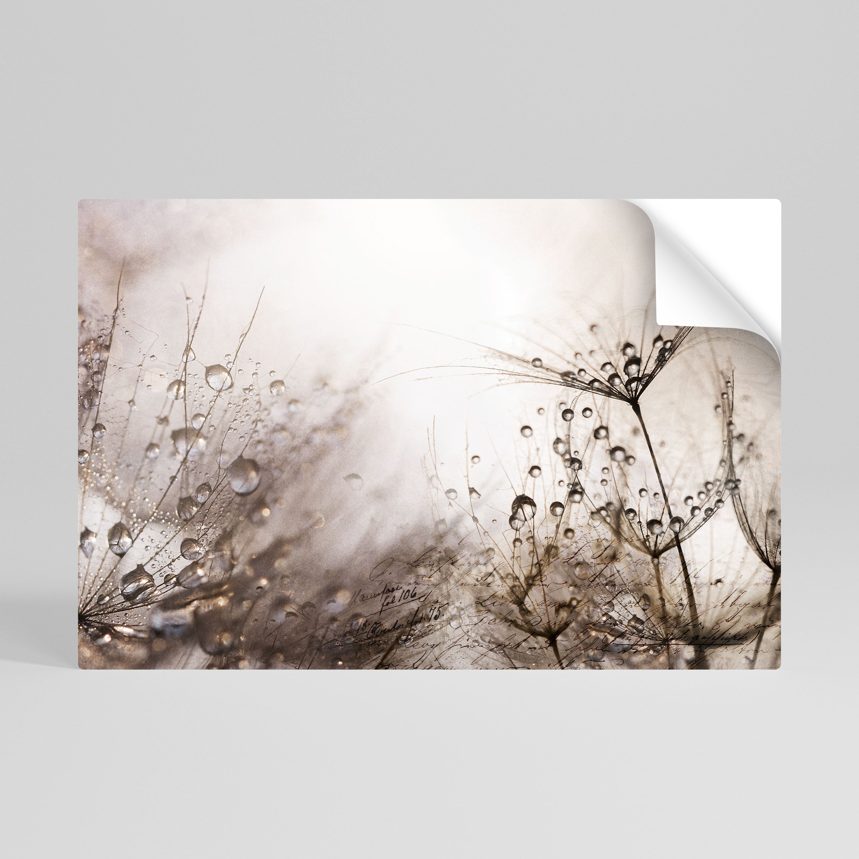 FLEETING DAWN Póster adhesivo horizontal