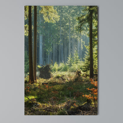 SUNLIT FOREST SERENADE Vertical Canvas Print