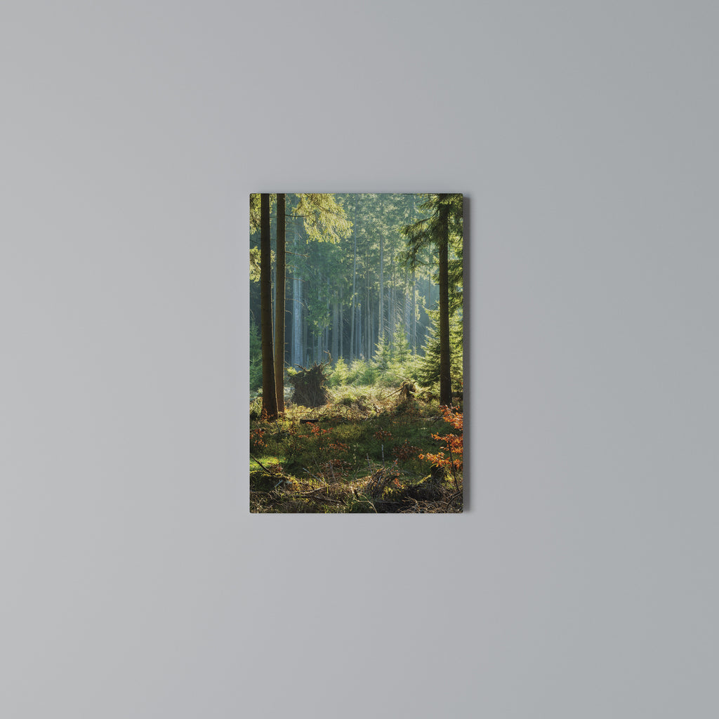 SUNLIT FOREST SERENADE Cuadro en lienzo vertical