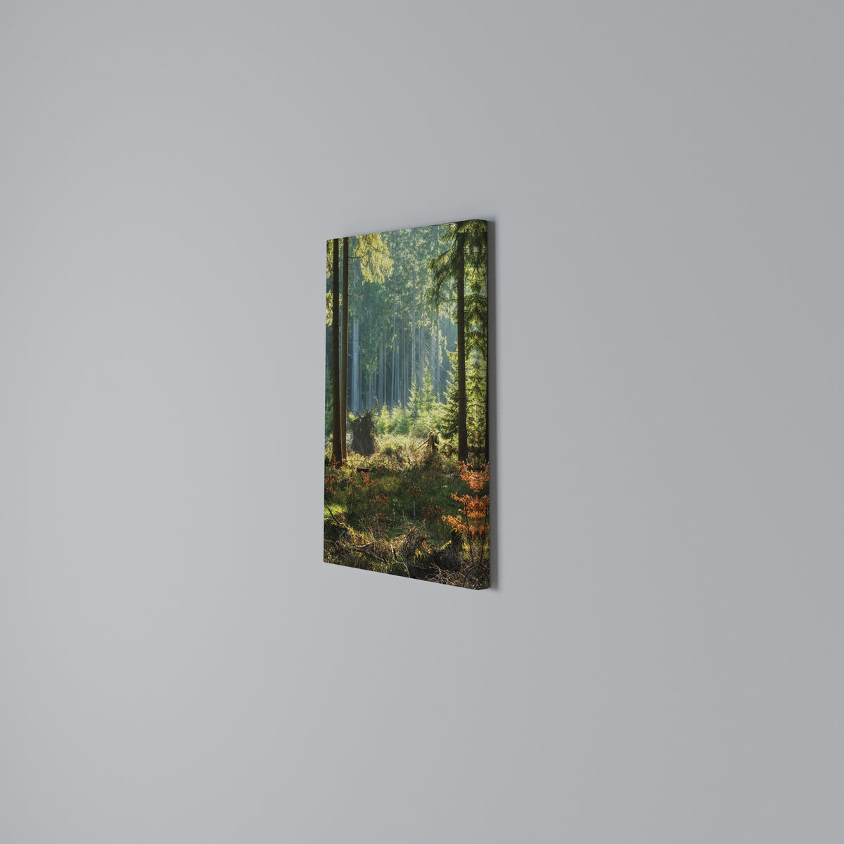 SUNLIT FOREST SERENADE Cuadro en lienzo vertical