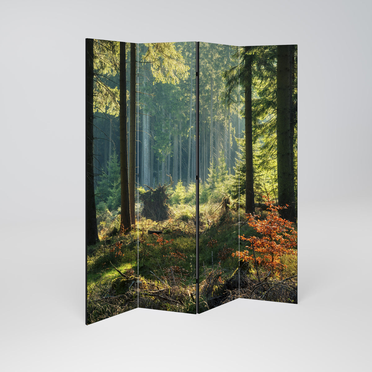 SUNLIT FOREST SERENADE Biombo de 4 paneles