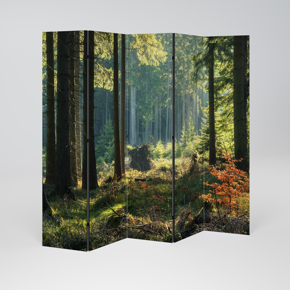 SUNLIT FOREST SERENADE Biombo de 5 paneles