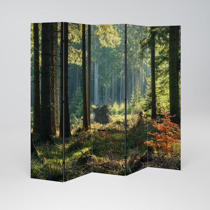 SUNLIT FOREST SERENADE Biombo de 5 paneles