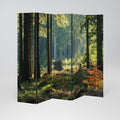 SUNLIT FOREST SERENADE Biombo Decorativo de 5 Paneles