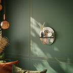 FLIGHT OVER Art Shelf