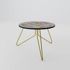 THE DELIQUESCE Coffee Table 60