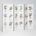 WHISPERS OF WILD HERBS Biombo Decorativo de 6 Paneles