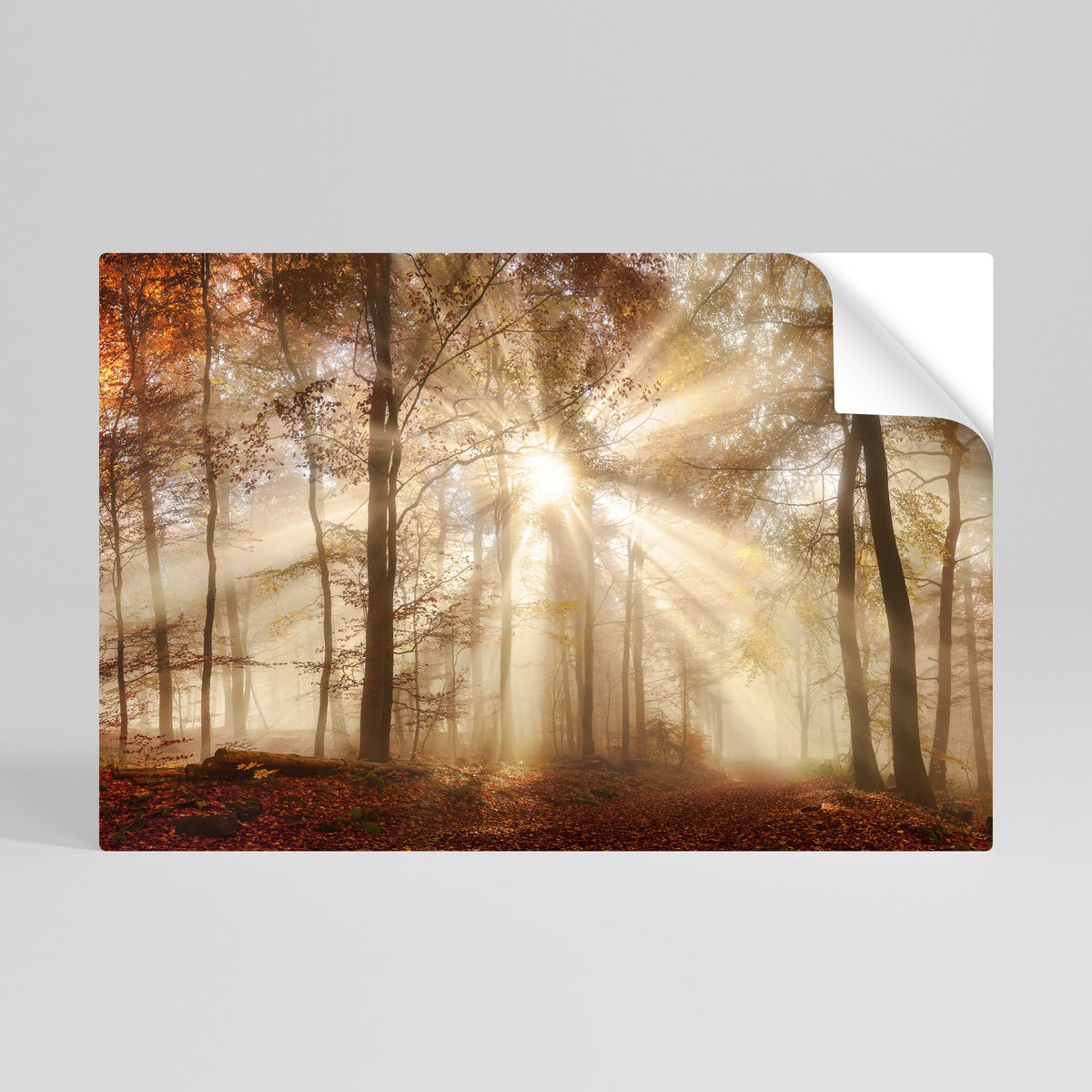 WHISPERS OF AUTUMN Póster adhesivo horizontal