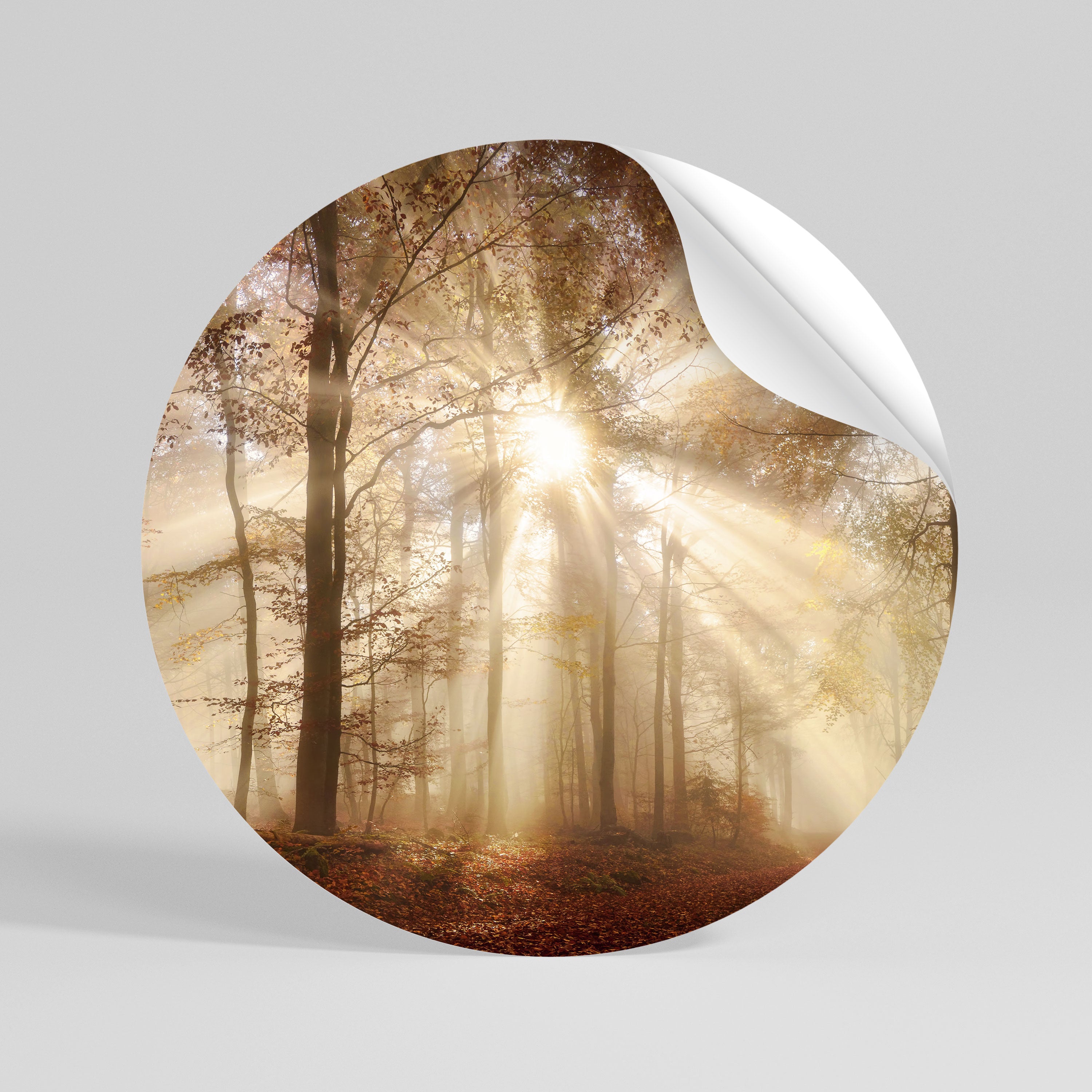WHISPERS OF AUTUMN Vinilo adhesivo redondo