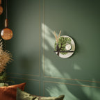 WILDERNESS DASH Estante Artístico