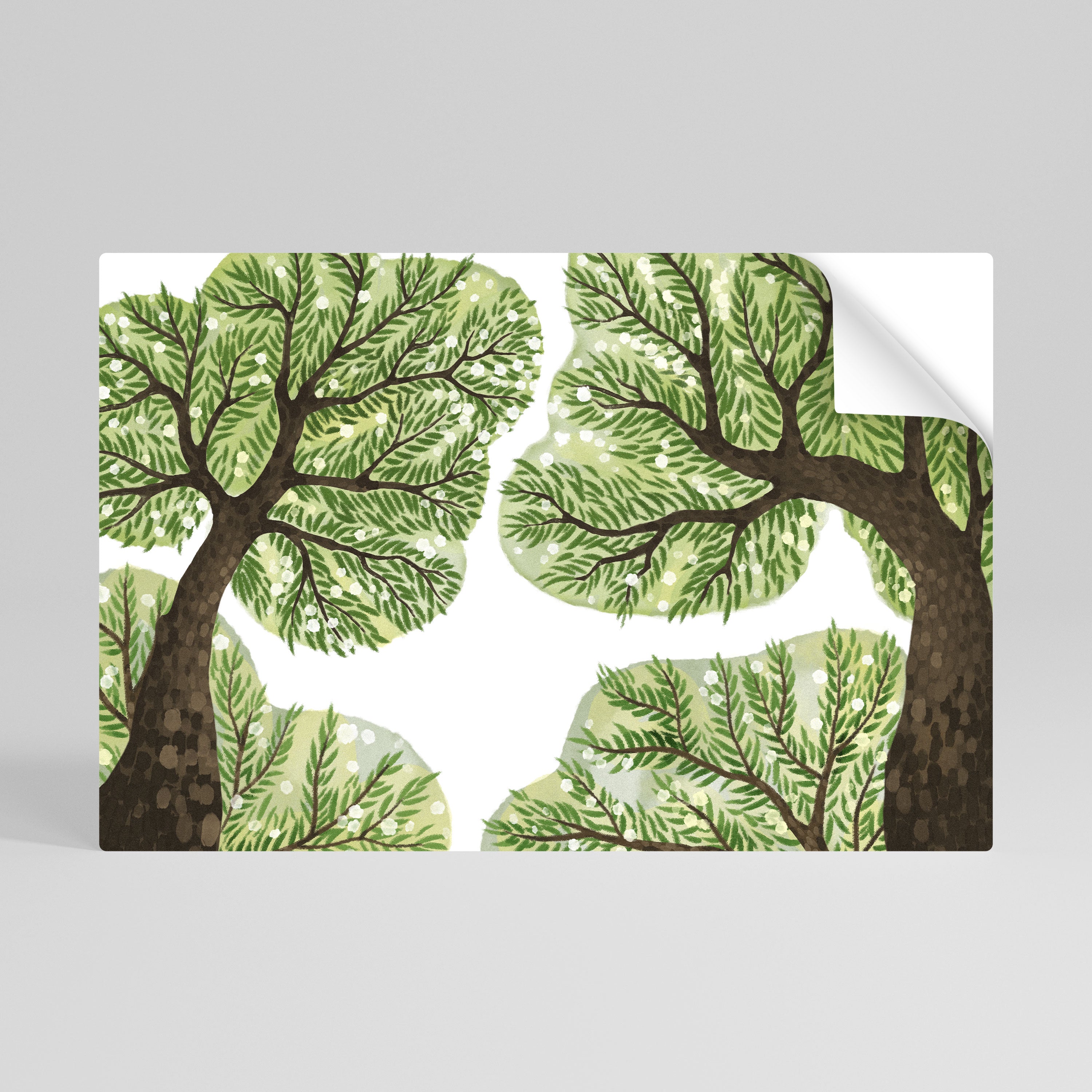 WILDERNESS DASH Póster adhesivo horizontal