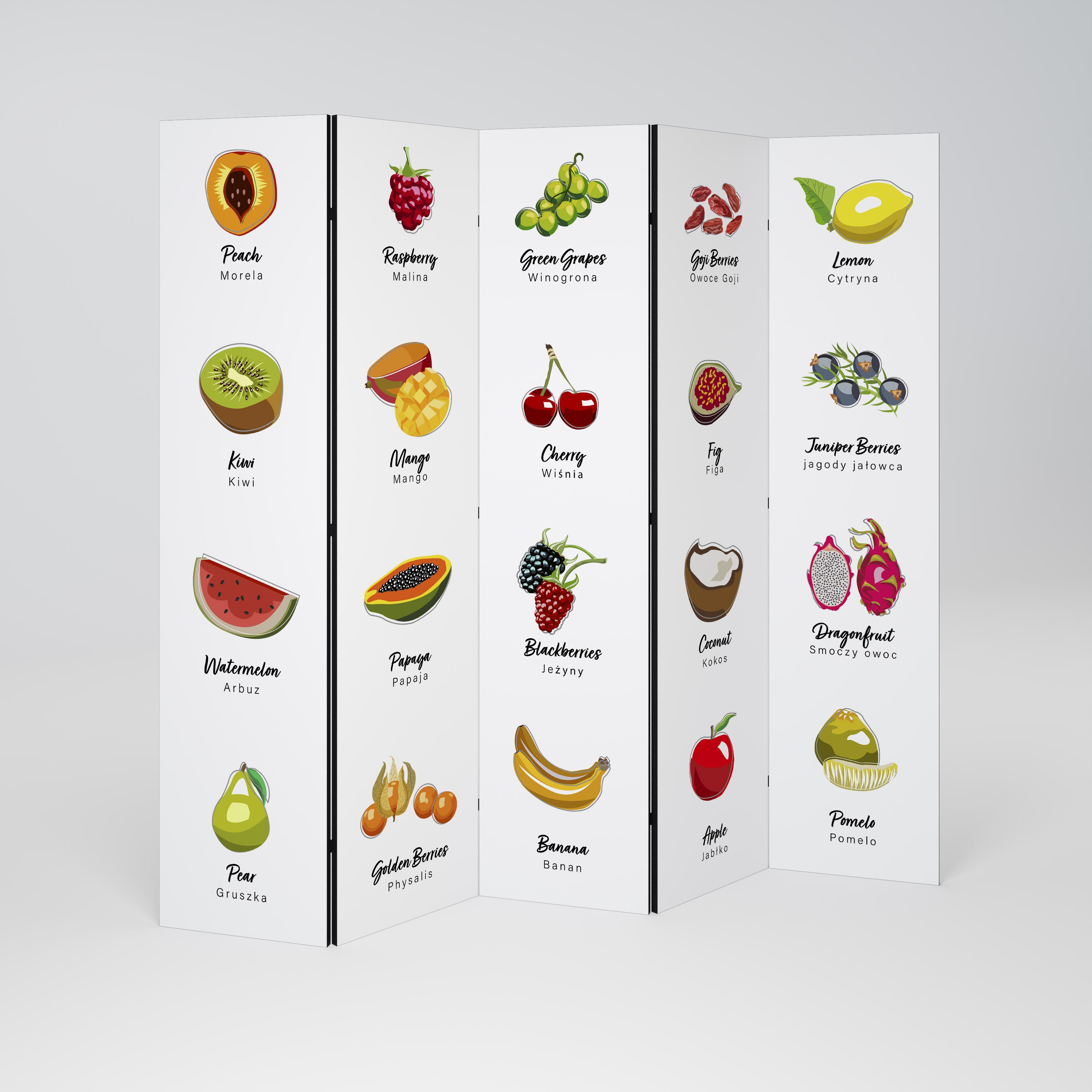 FRUIT LESSON 5-Panel Room Divider