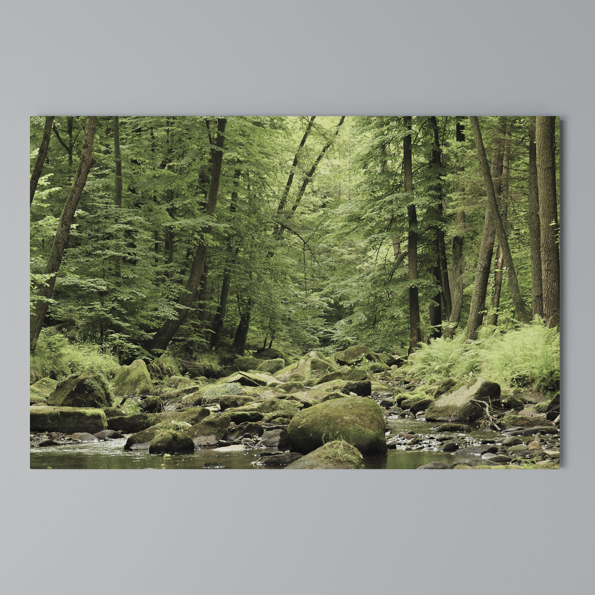 TRANQUIL STONES AND STREAMS Cuadro en lienzo horizontal