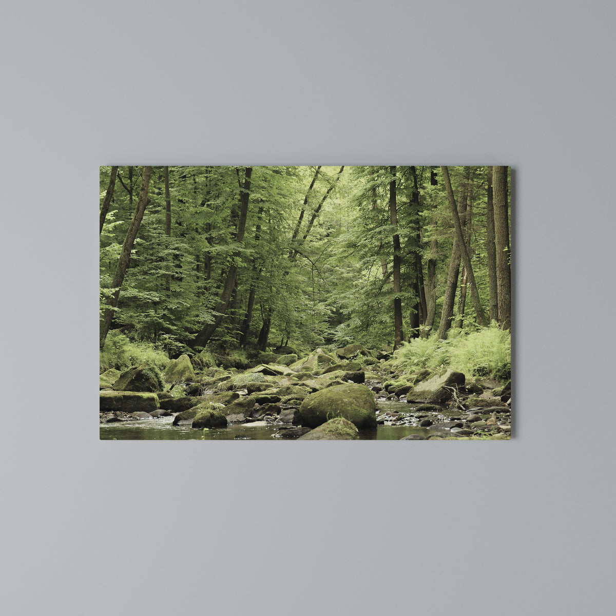 TRANQUIL STONES AND STREAMS Cuadro en lienzo horizontal