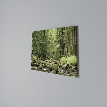 TRANQUIL STONES AND STREAMS Cuadro en lienzo horizontal