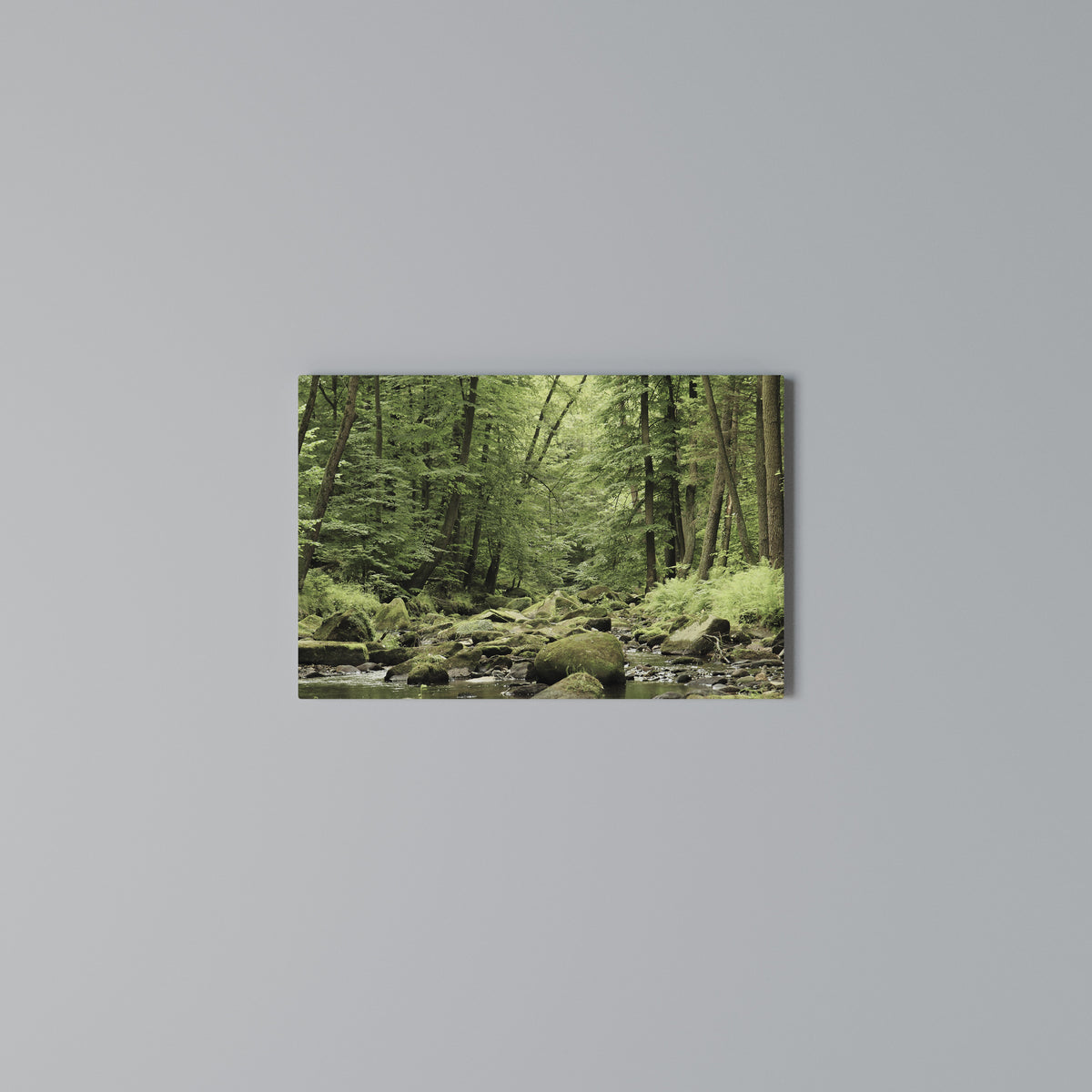 TRANQUIL STONES AND STREAMS Cuadro en lienzo horizontal