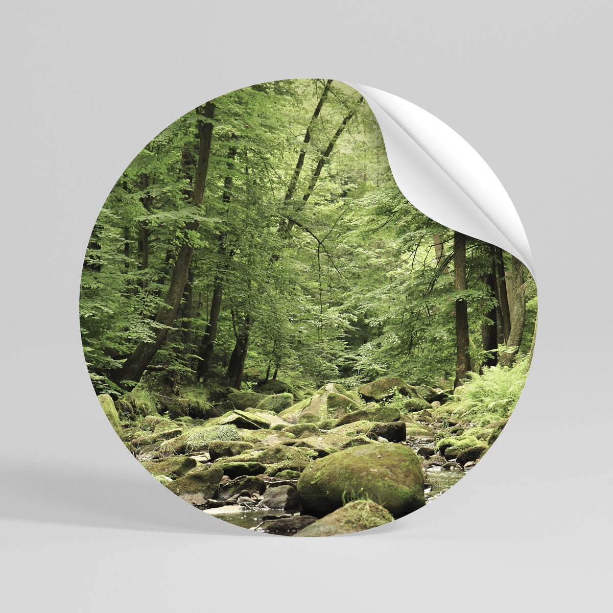 TRANQUIL STONES AND STREAMS Vinilo adhesivo redondo
