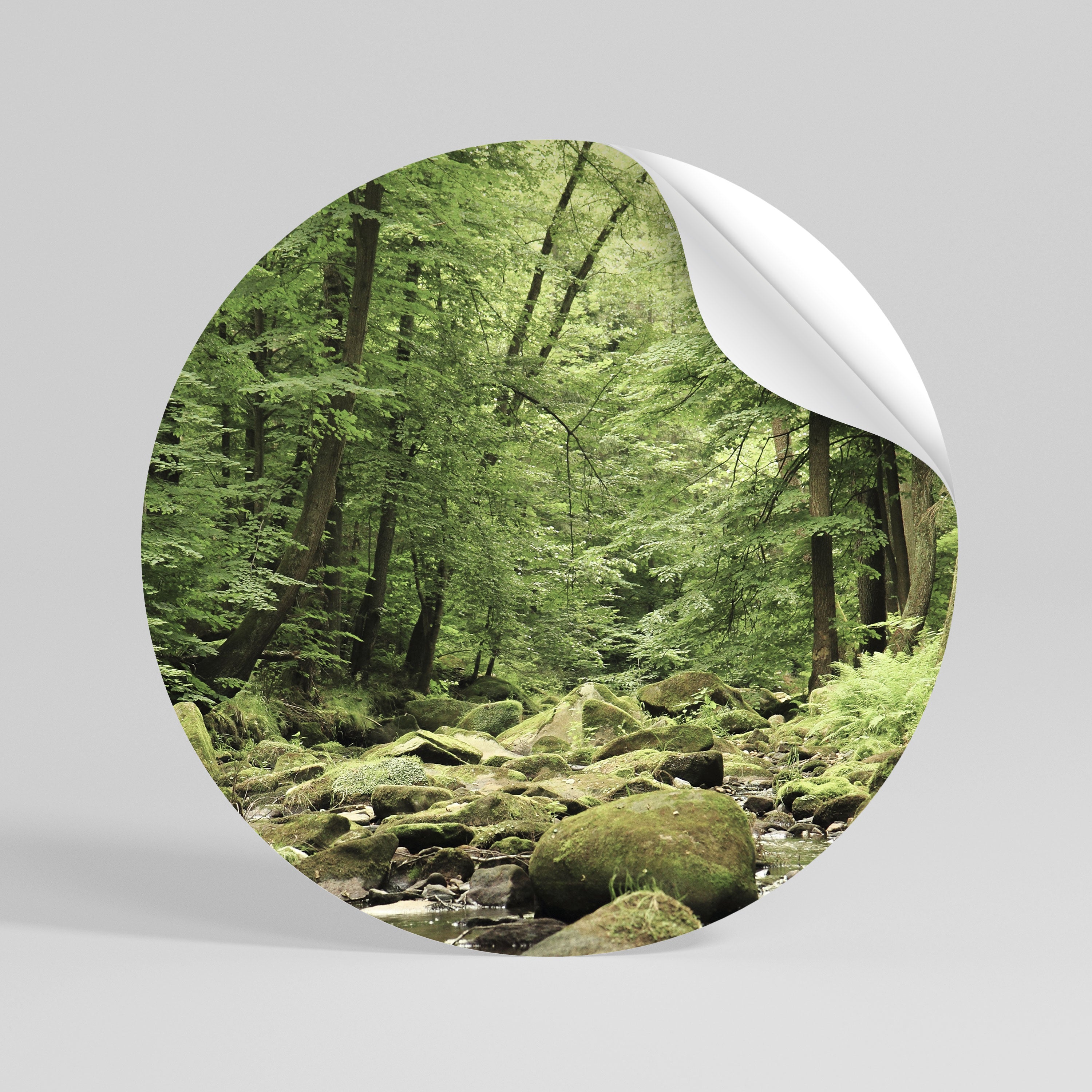 TRANQUIL STONES AND STREAMS Vinilo adhesivo redondo