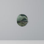 ROYAL GREEN Oval Art Shelf In Black Finish