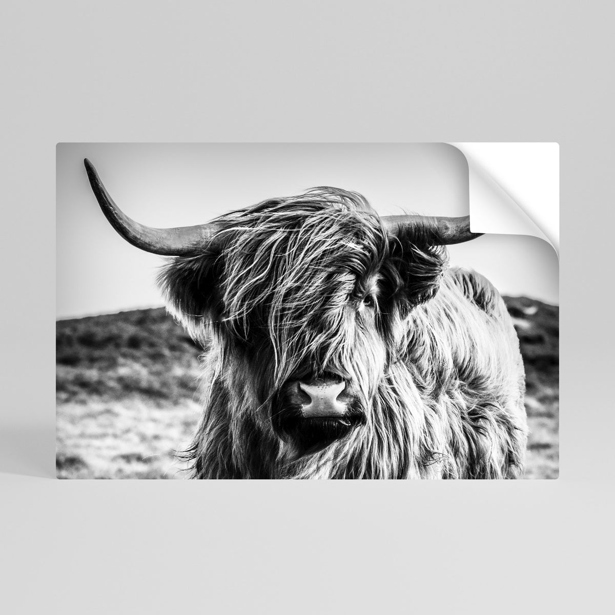 WILD SPIRIT REFLECTED Póster adhesivo horizontal