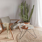 SINGLE SPRIG Coffee Table 60