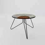 SINGLE SPRIG Coffee Table 60