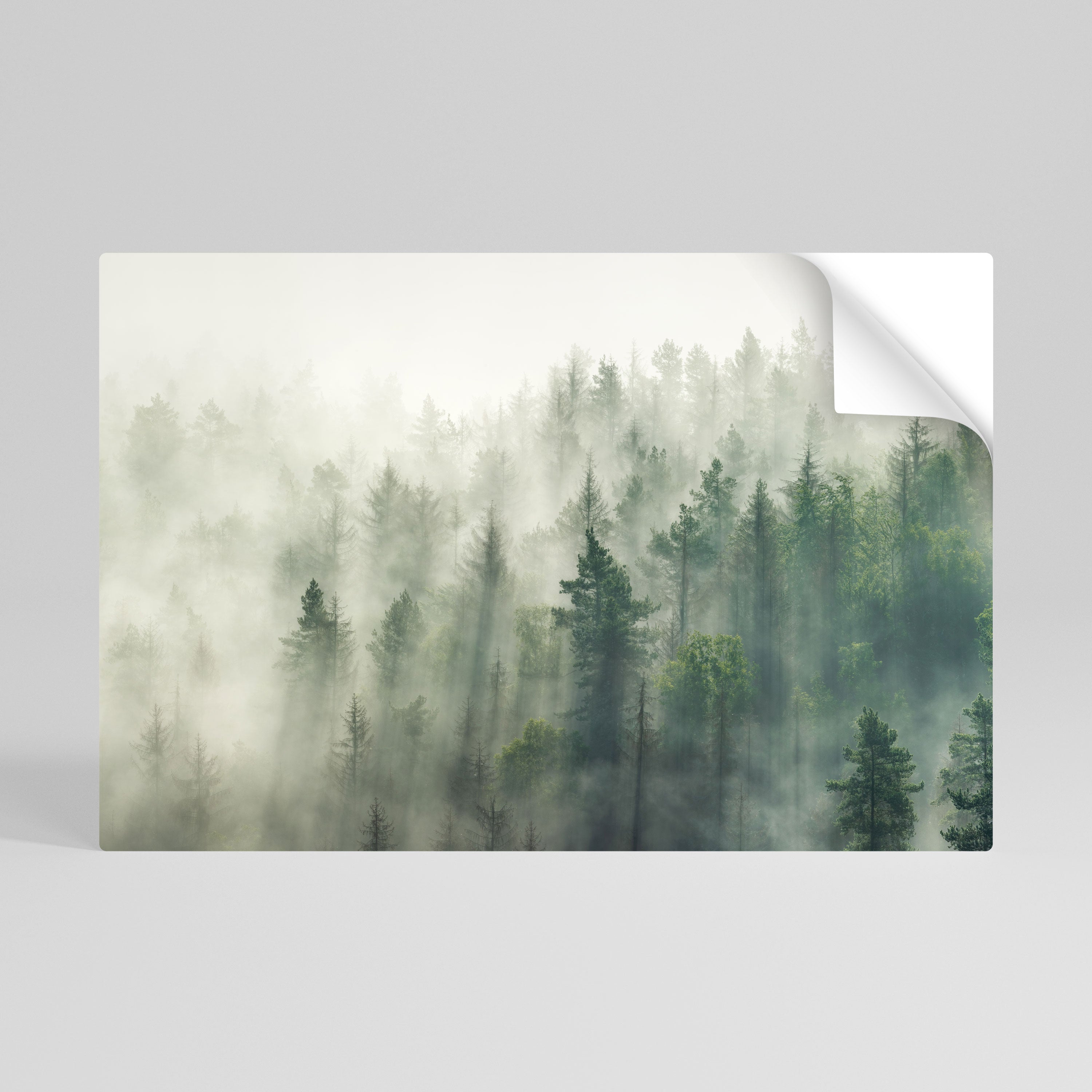 MISTY FOREST Póster adhesivo horizontal