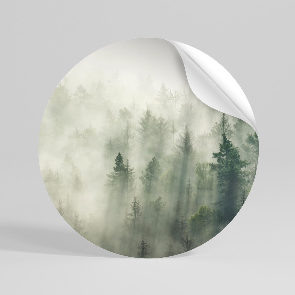 MISTY FOREST Vinilo adhesivo redondo