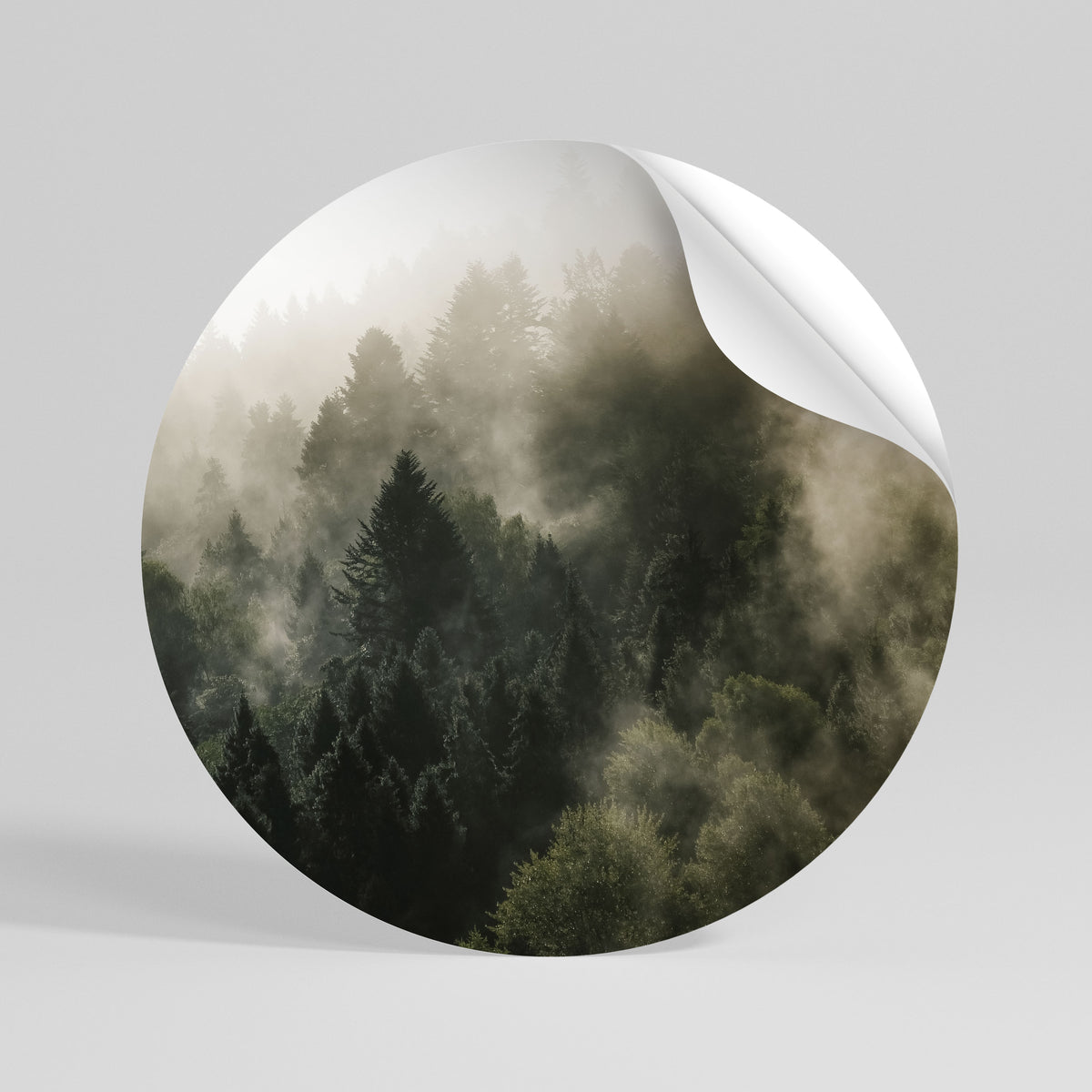 MISTY HIGHLANDS Vinilo adhesivo redondo