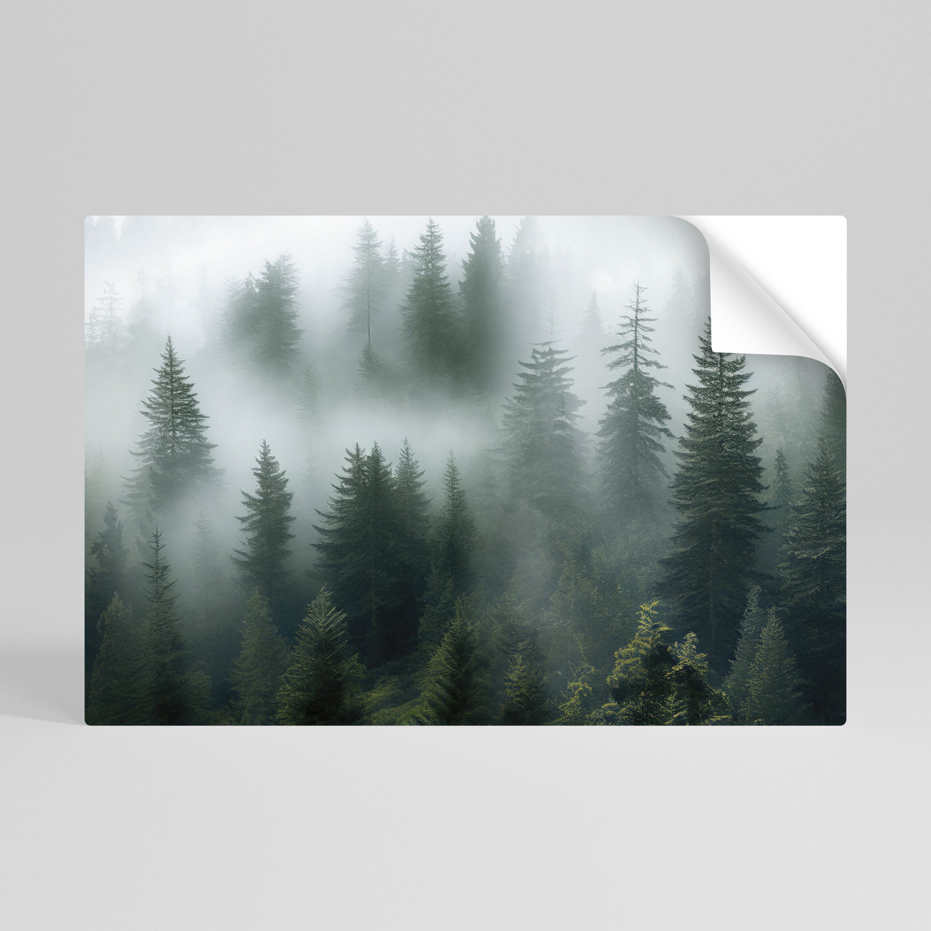 FOGGY CREST Póster adhesivo horizontal