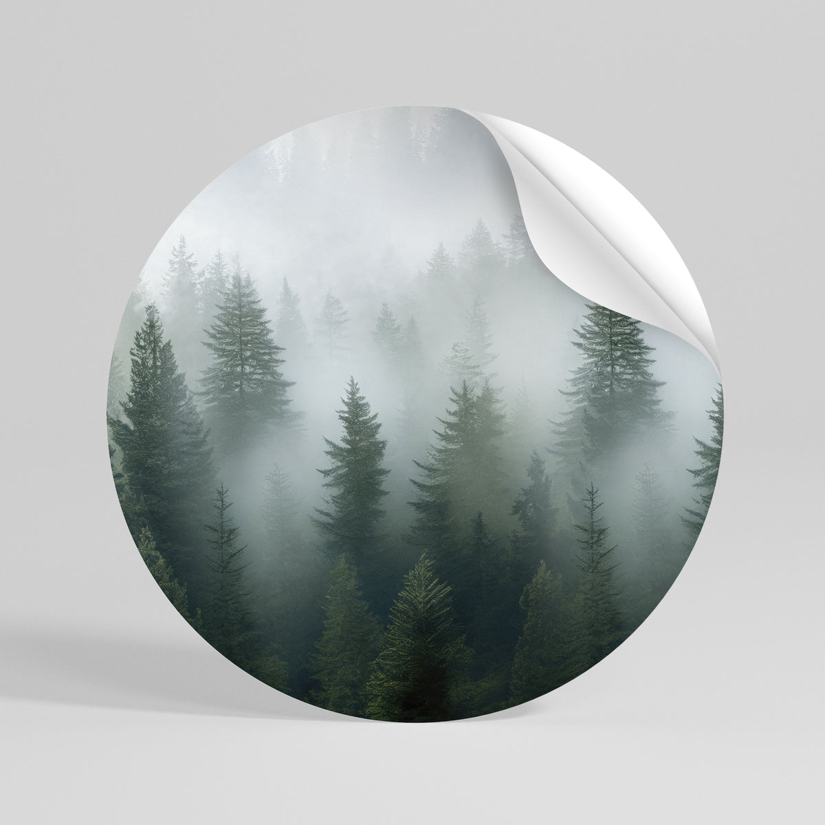 FOGGY CREST Vinilo adhesivo redondo