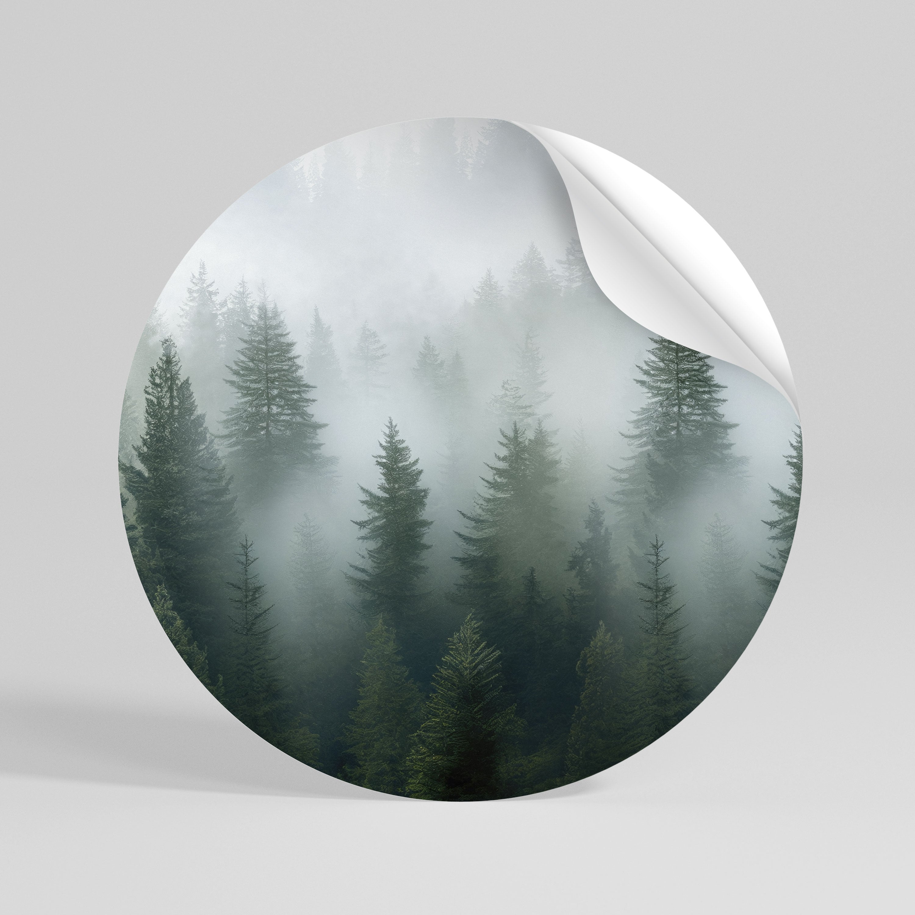 FOGGY CREST Vinilo adhesivo redondo