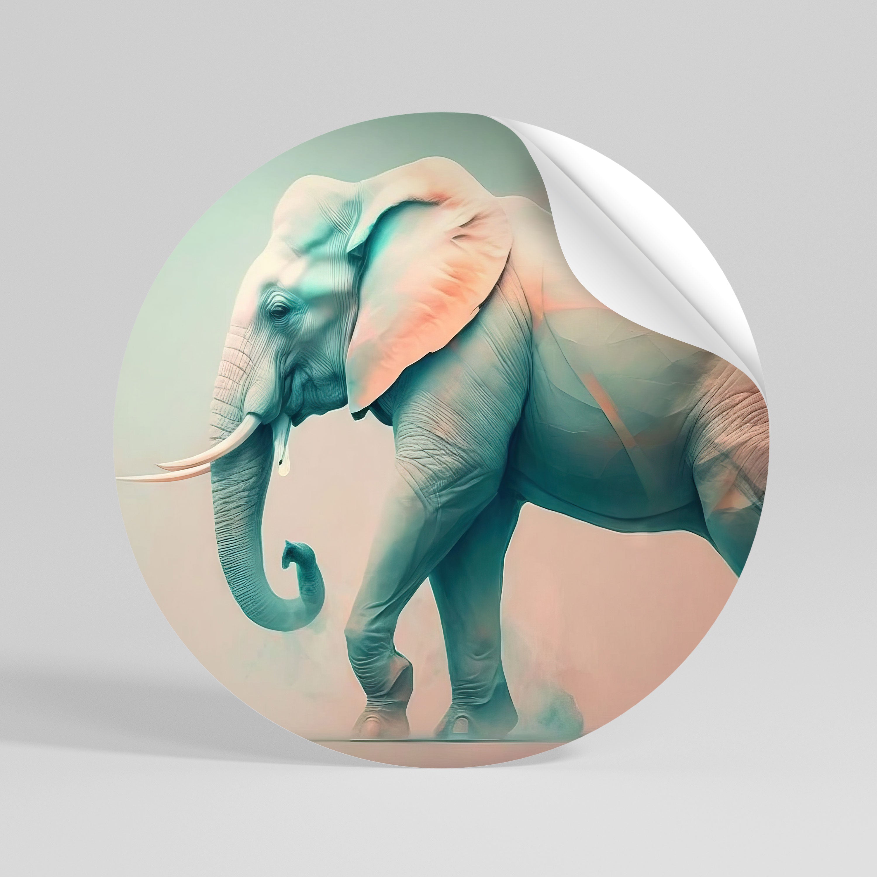 HOLO GIANT Vinilo adhesivo redondo