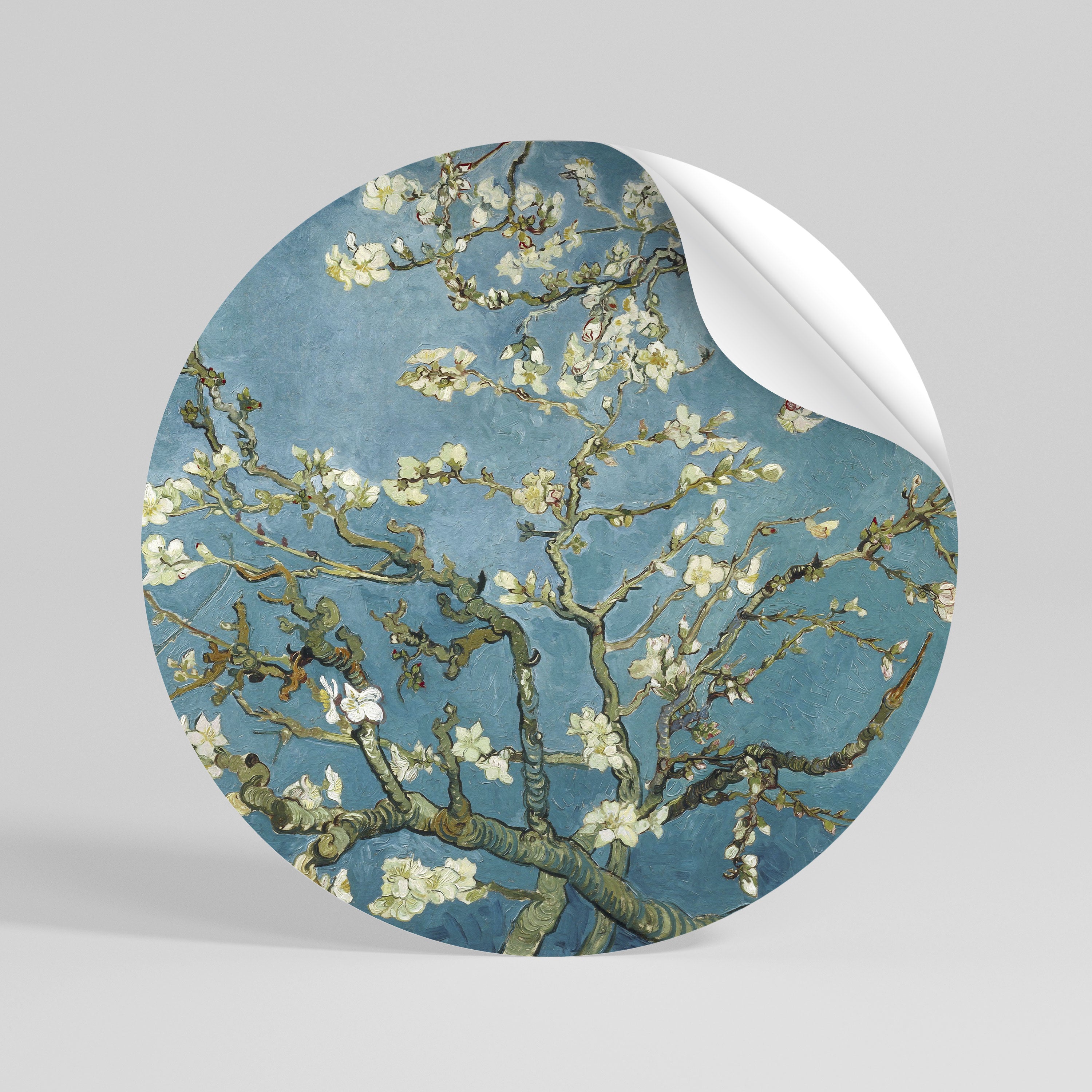 ALMOND BLOSSOM Vinilo adhesivo redondo
