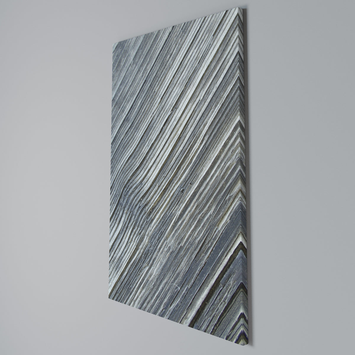 NATURE’S RIBBON RELIC Cuadro en lienzo vertical