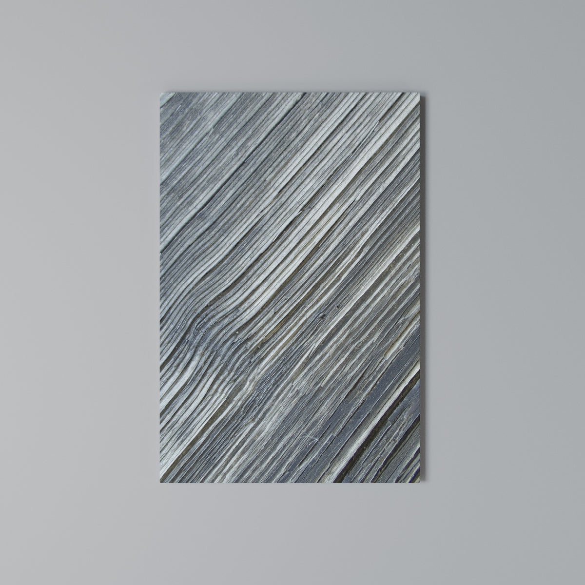 NATURE’S RIBBON RELIC Cuadro en lienzo vertical
