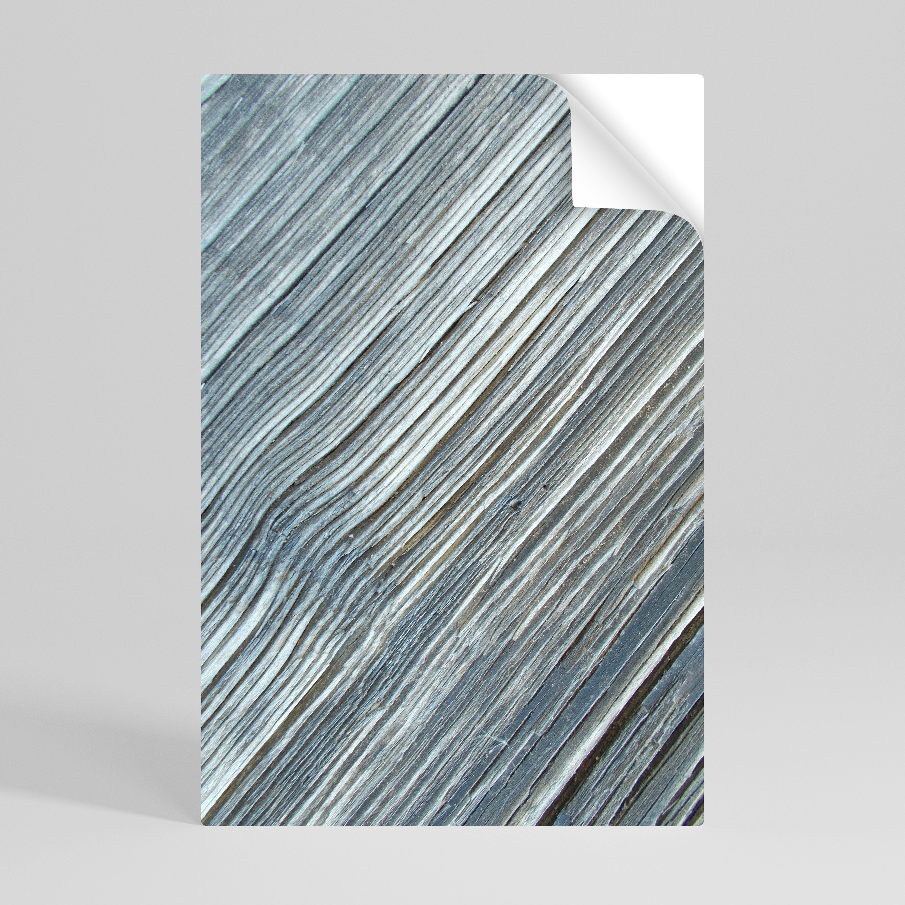 NATURE’S RIBBON RELIC Póster adhesivo vertical