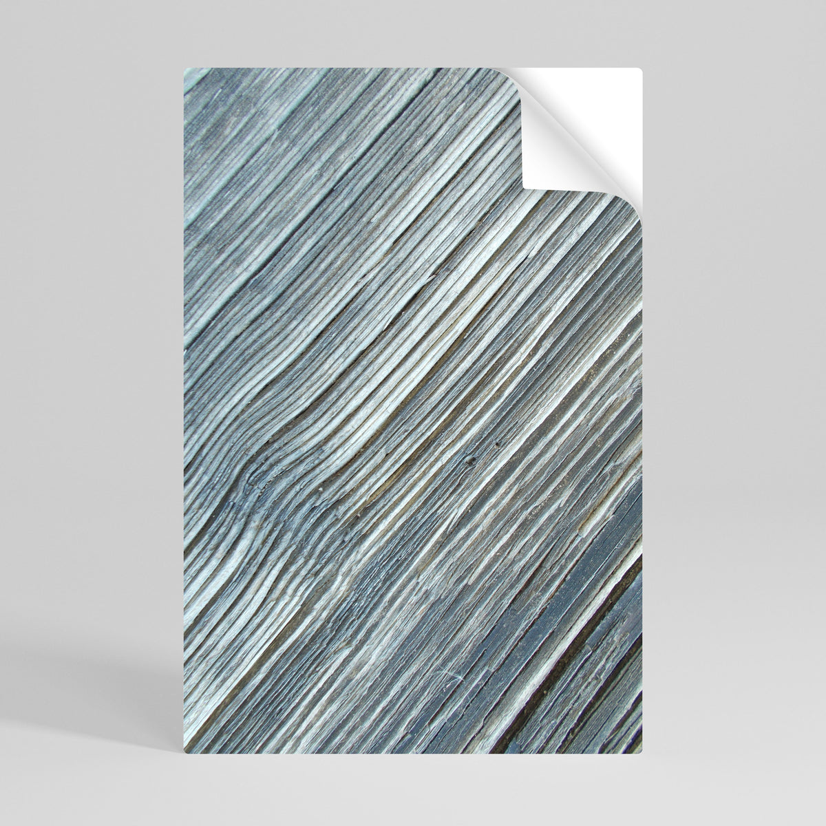 NATURE’S RIBBON RELIC Peel and Stick Vertical Poster