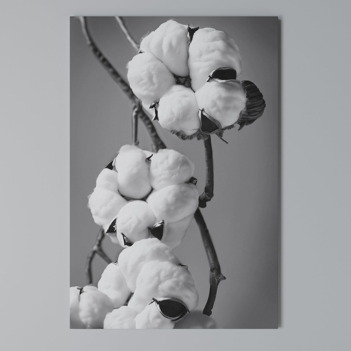 COTTON DREAMSCAPE Cuadro en lienzo vertical