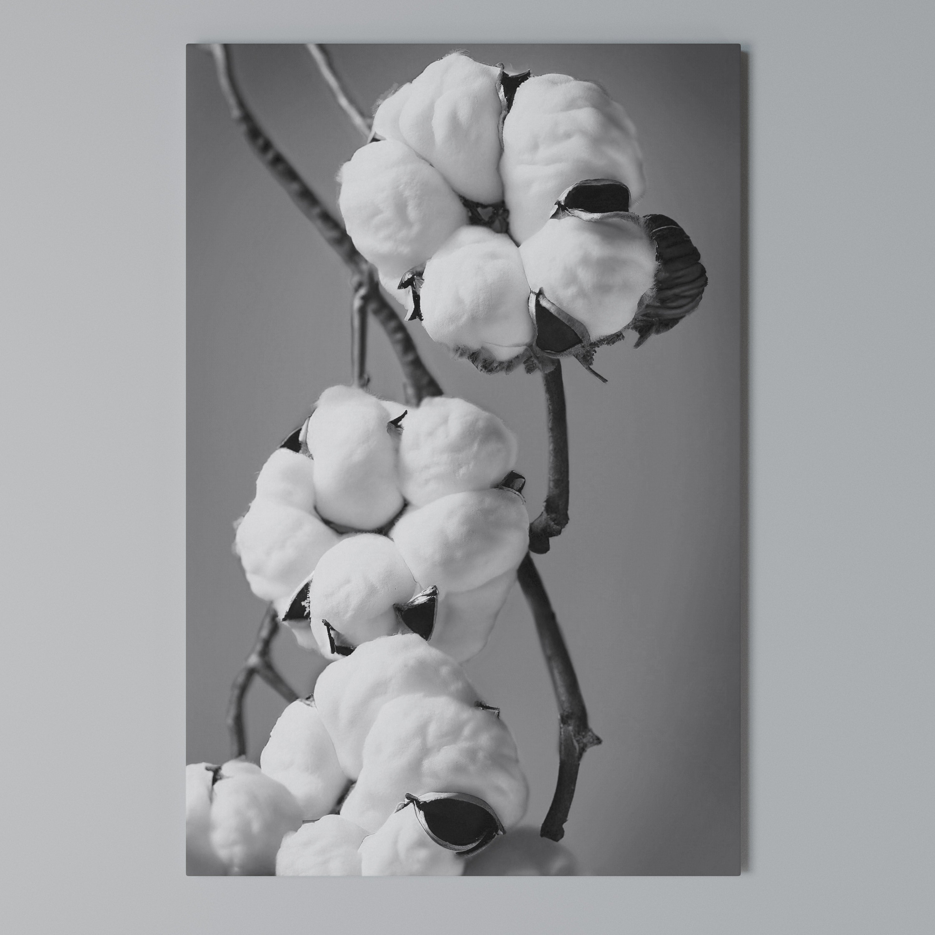 COTTON DREAMSCAPE Cuadro en lienzo vertical