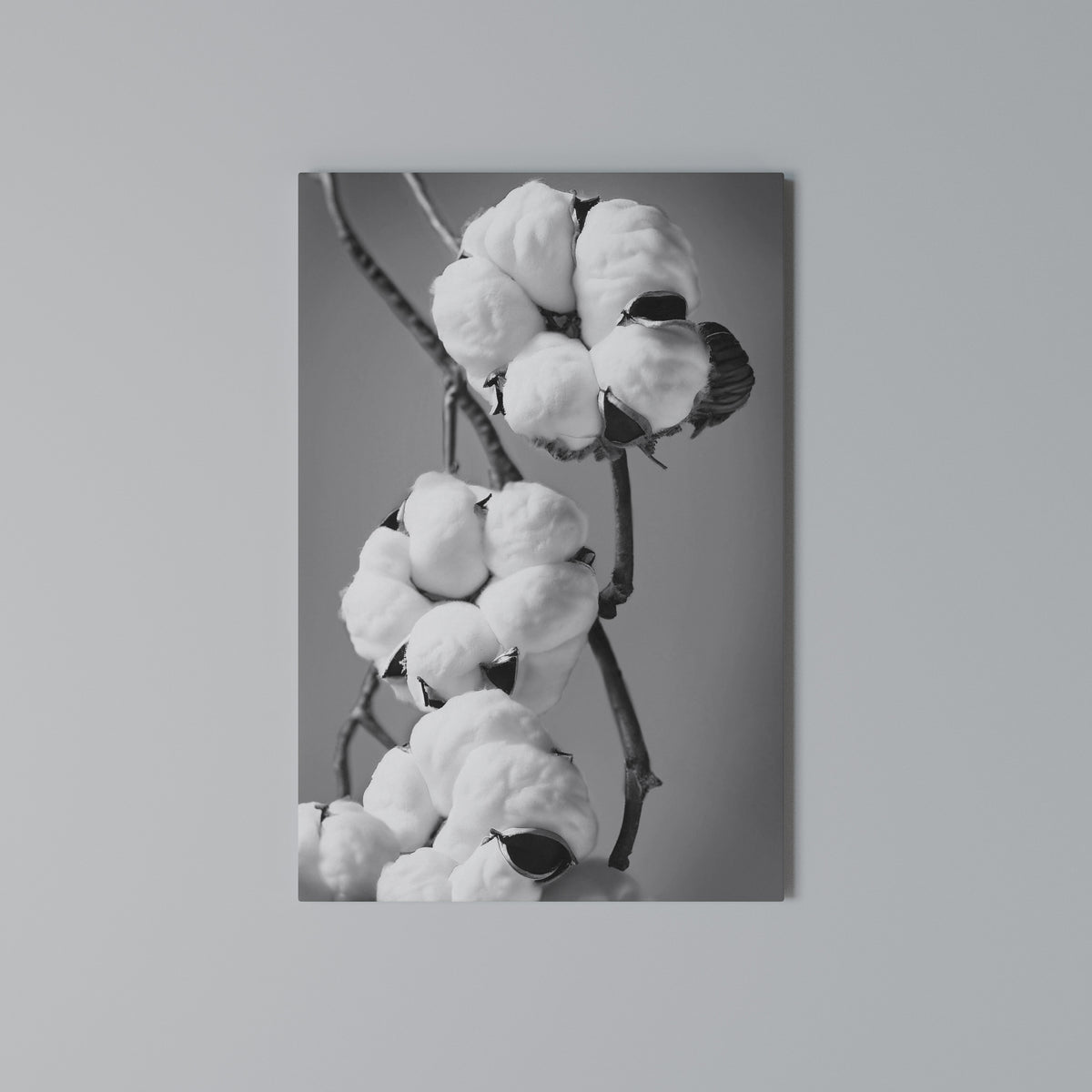 COTTON DREAMSCAPE Cuadro en lienzo vertical
