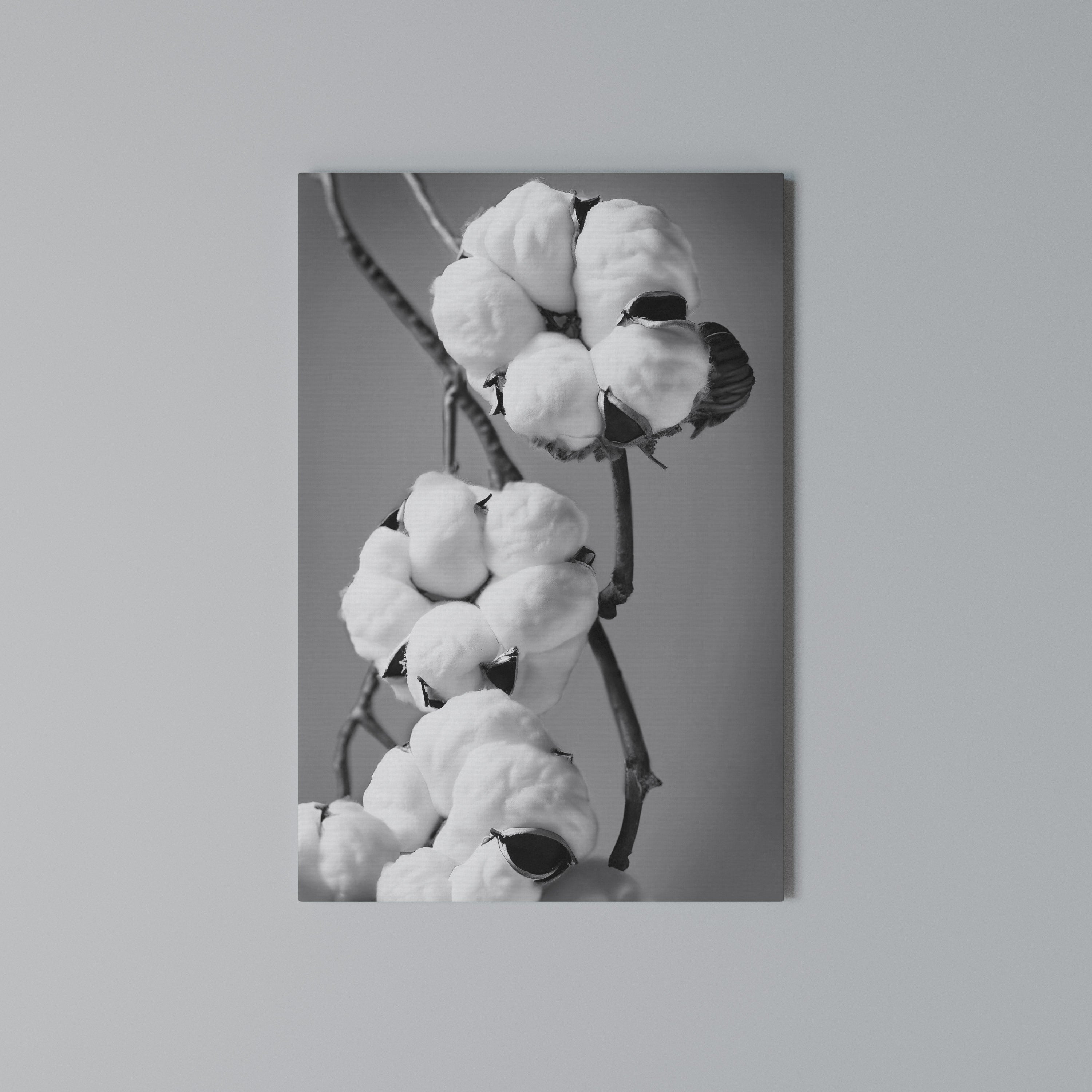 COTTON DREAMSCAPE Cuadro en lienzo vertical