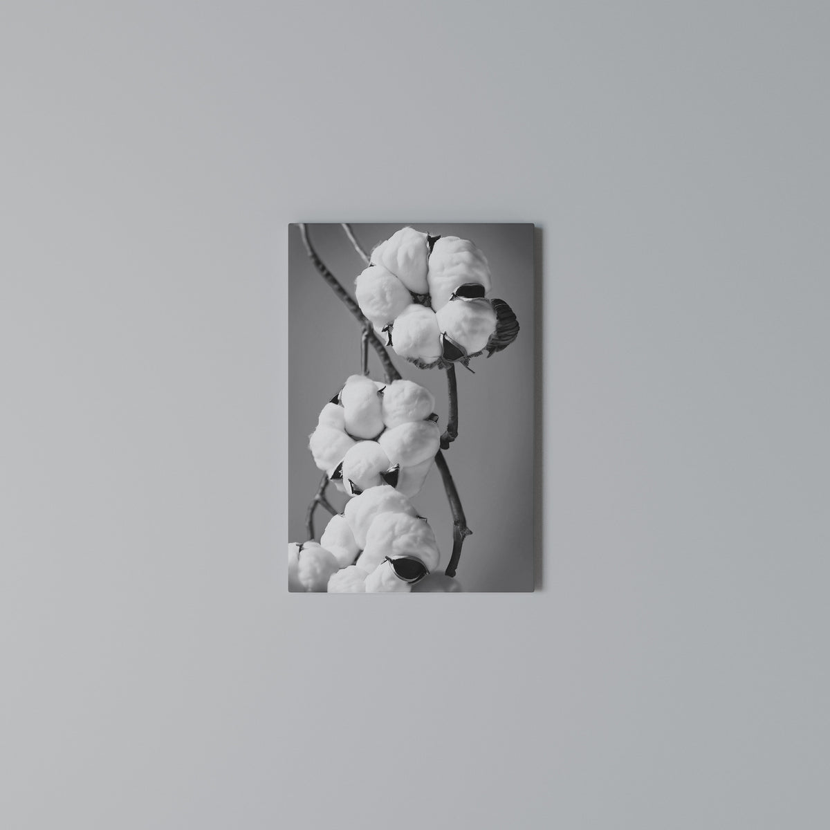 COTTON DREAMSCAPE Cuadro en lienzo vertical